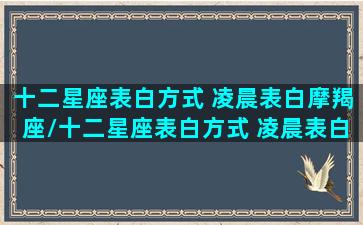 十二星座表白方式 凌晨表白摩羯座/十二星座表白方式 凌晨表白摩羯座-我的网站